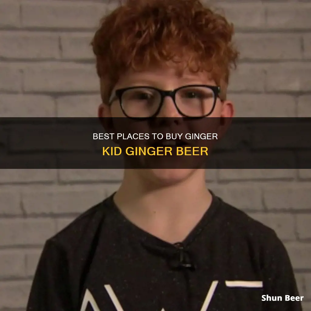 where to buy ginger kid ginger beer