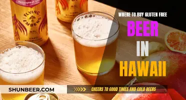 Gluten-Free Beer: Best Hawaiian Spots to Buy