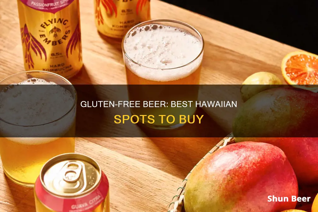 where to buy gluten free beer in hawaii