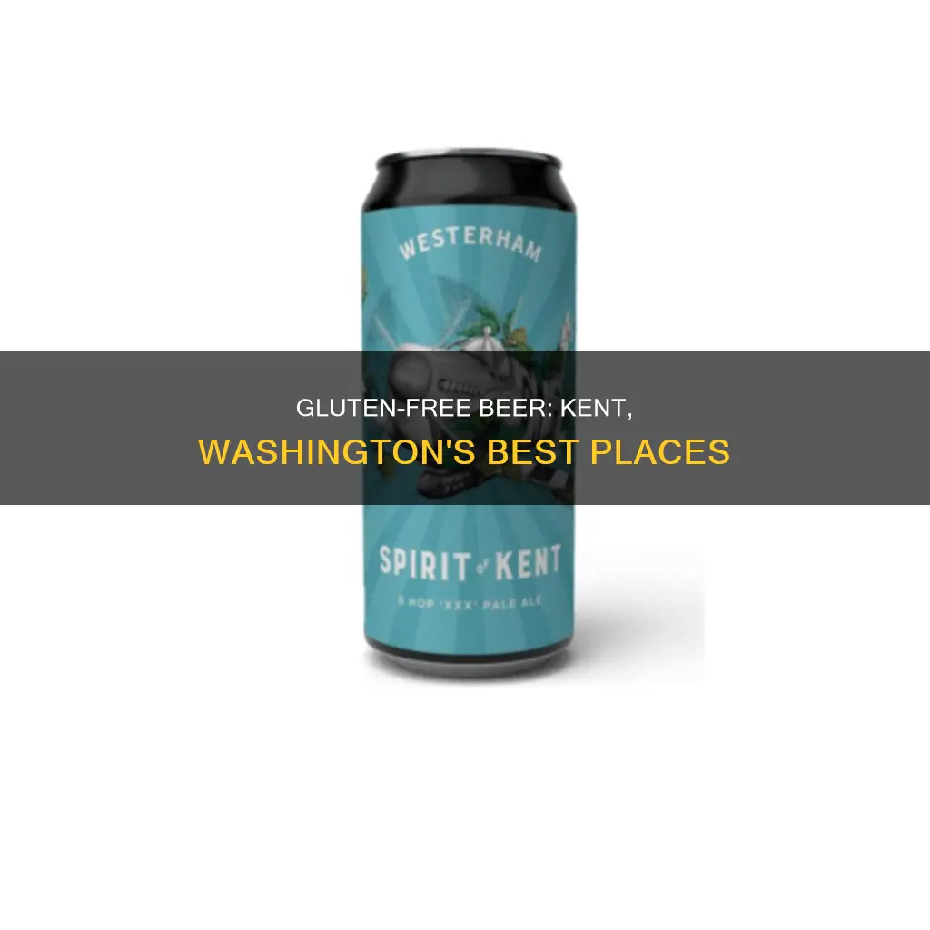 where to buy gluten free beer in kent washington