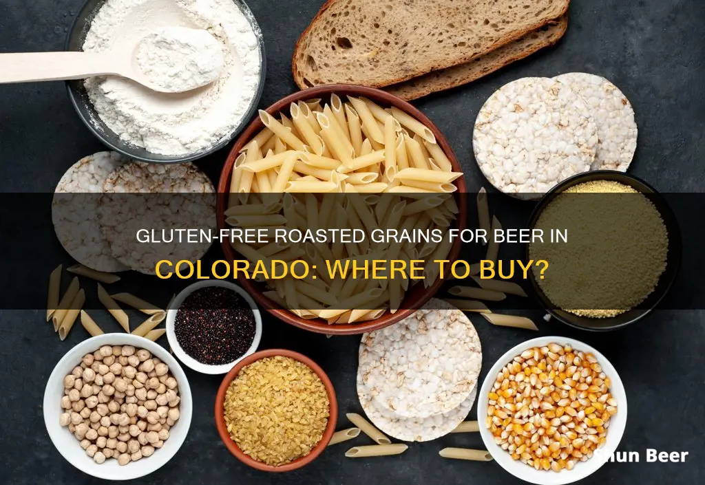 where to buy gluten free roasted grains for beer colorado