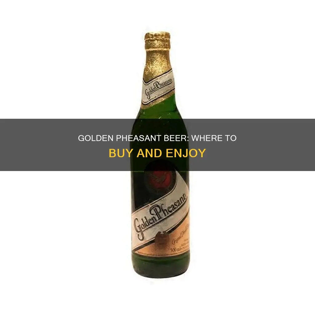 where to buy golden pheasant beer