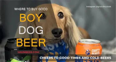 Best Places to Buy Good Boy Dog Beer