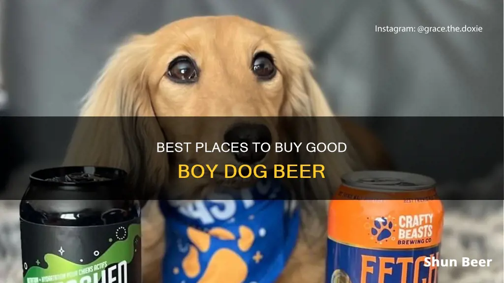 where to buy good boy dog beer