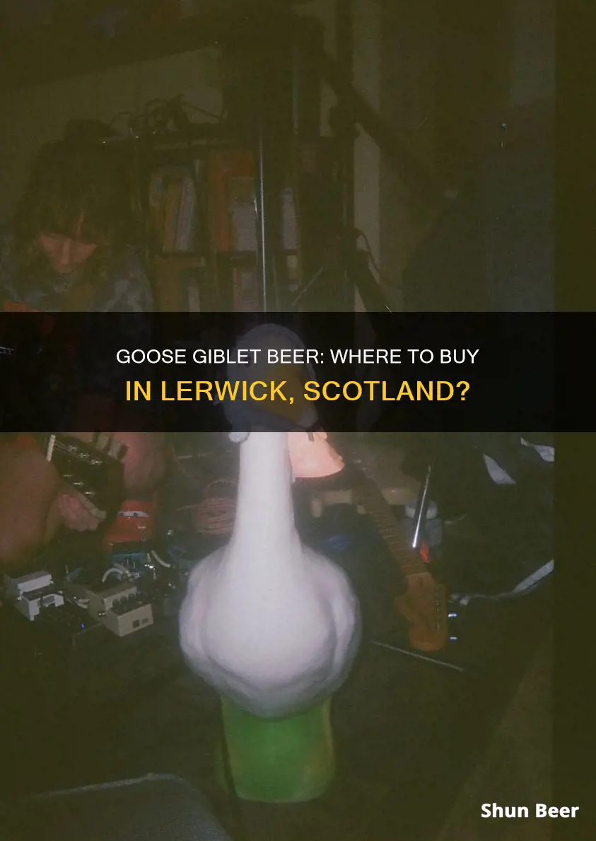 where to buy goose gibger beer in lerwich scotland