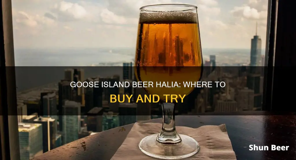 where to buy goose island beer halia