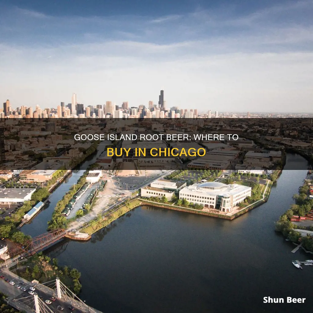 where to buy goose island root beer in chicago area