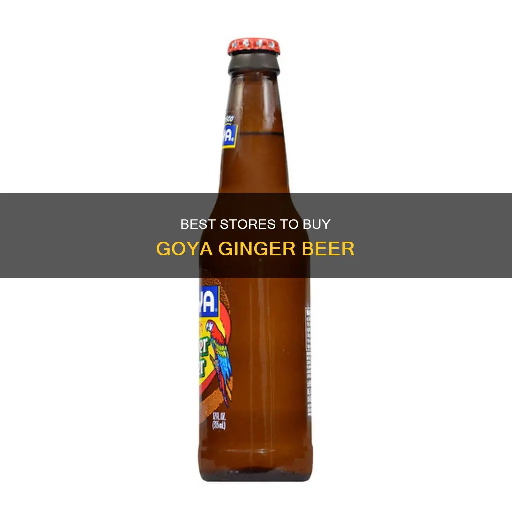 where to buy goya ginger beer