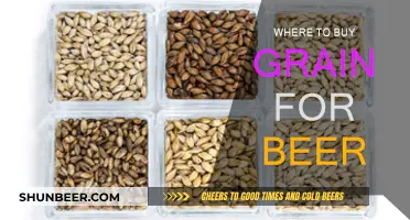 Best Grain Sources for Brewing Beer