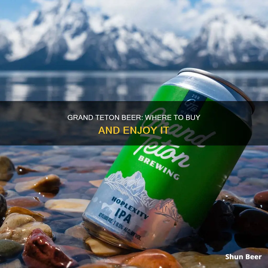 where to buy grand teton beer