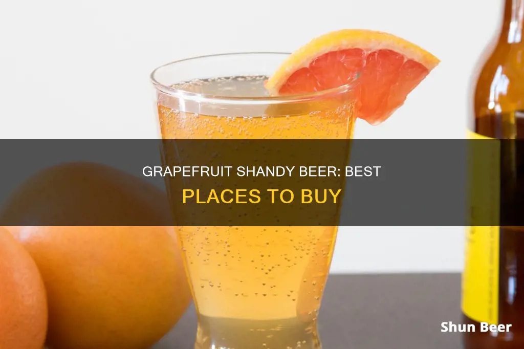 where to buy grapefruit shandy beer