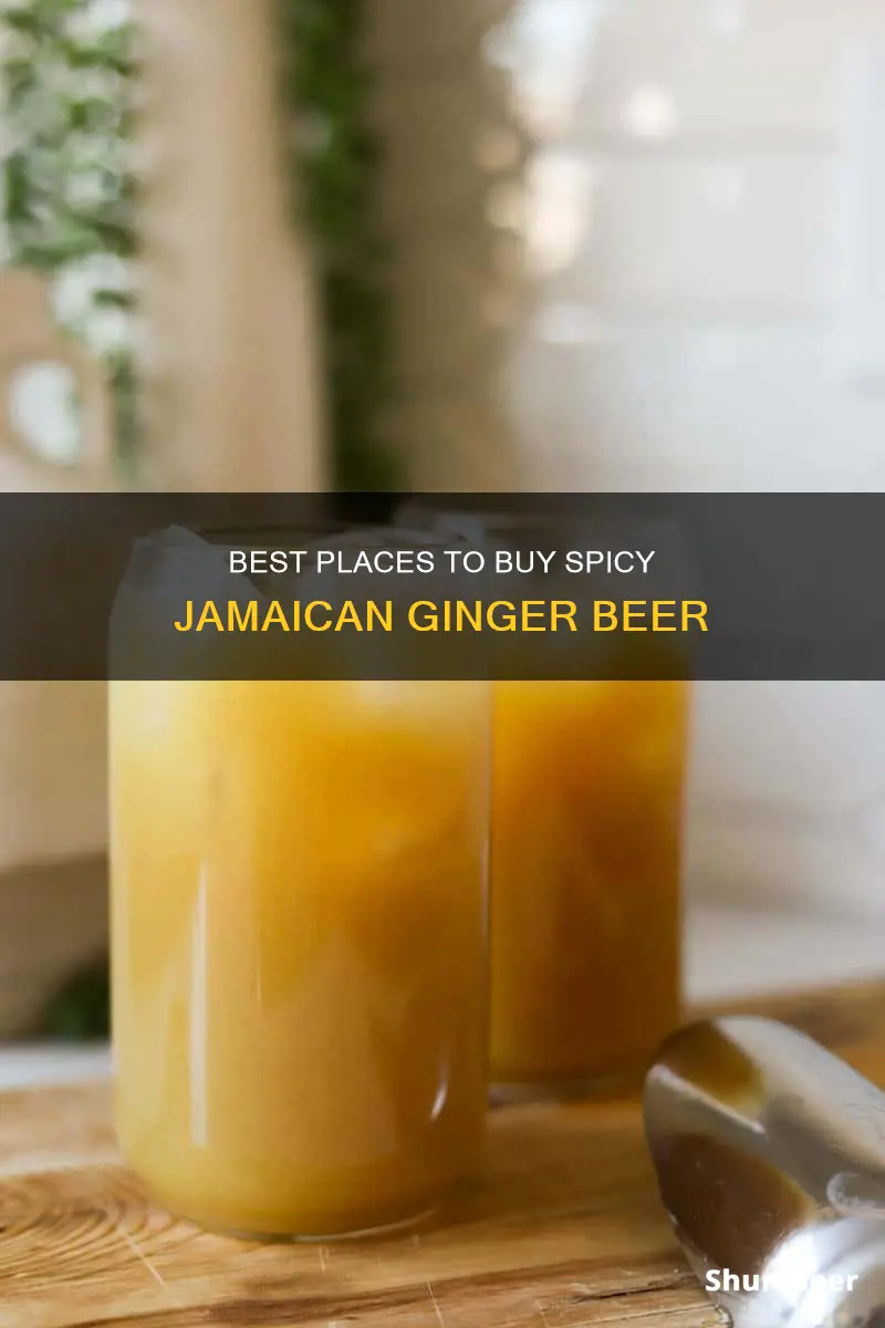 where to buy great jamaican spicy ginger beer