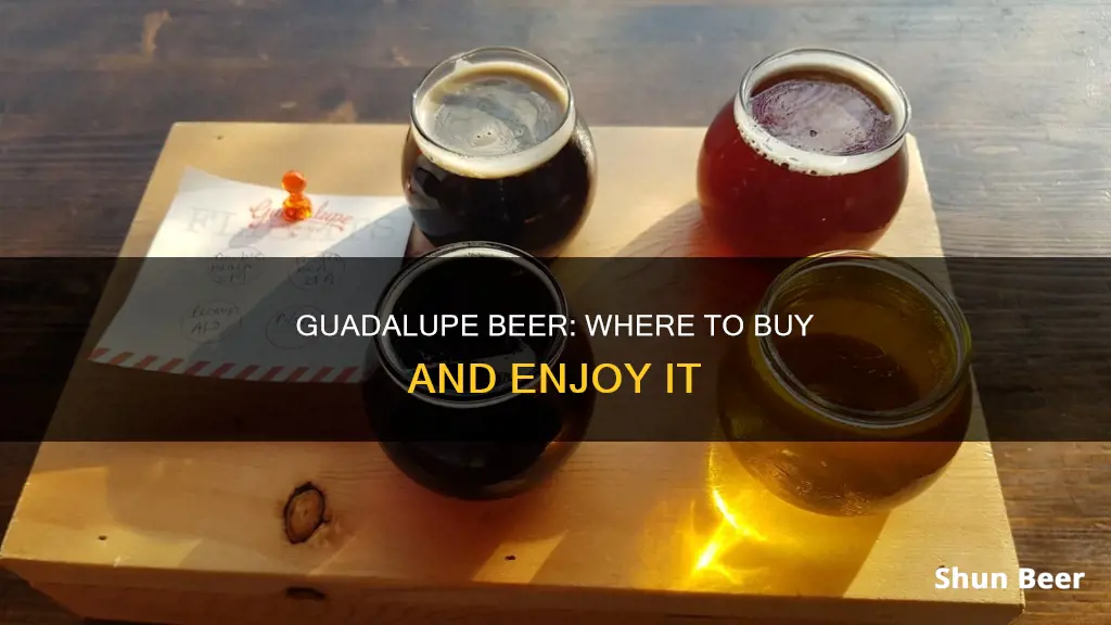 where to buy guadalupe beer