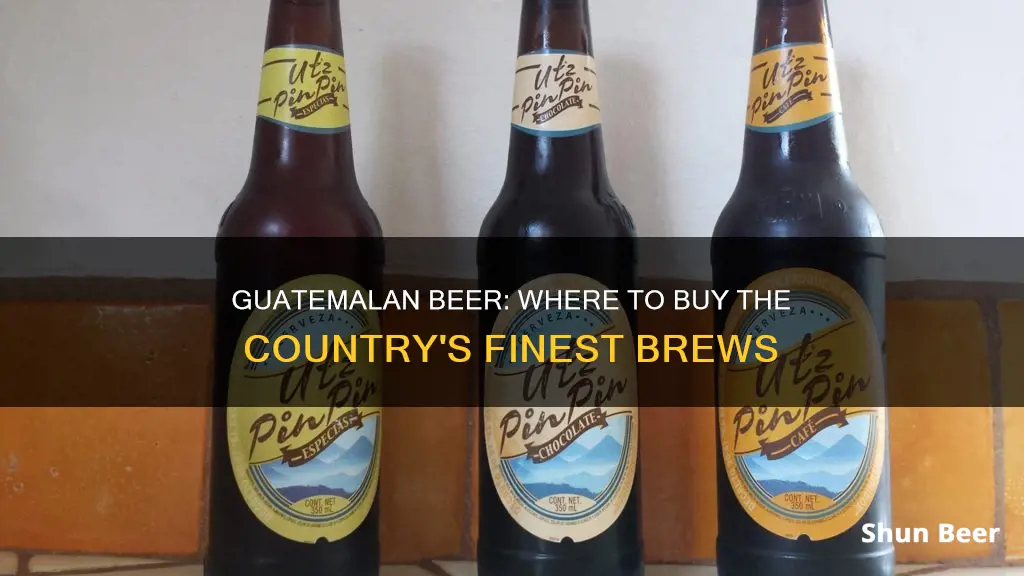 where to buy guatemalan beer