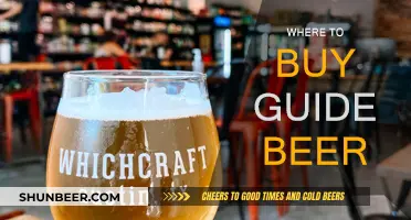 Best Guide to Find the Perfect Beer