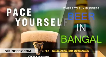 Guinness Beer: Bangalore's Top Spots for a Pint