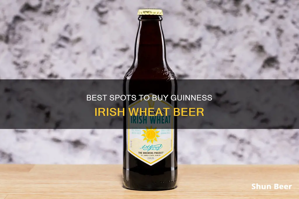 where to buy guinness irish wheat beer