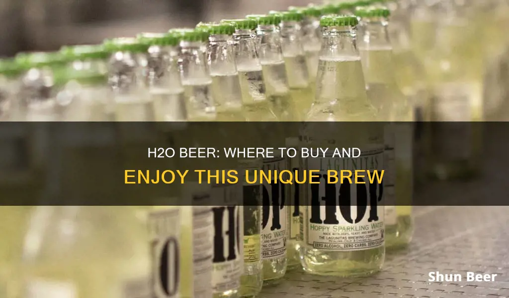 where to buy h2o beer