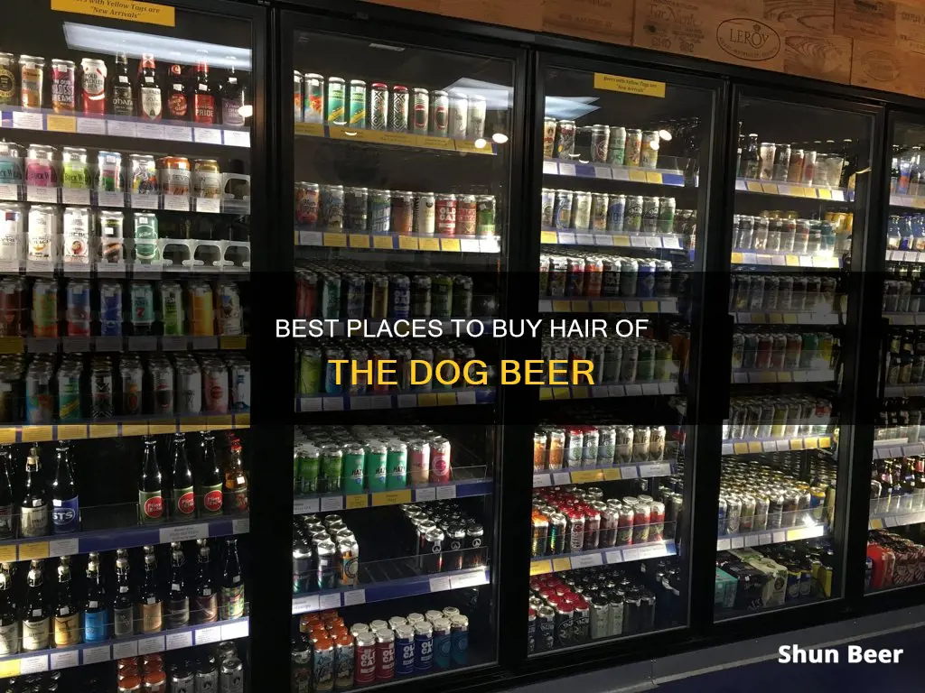 where to buy hair of the dog beer