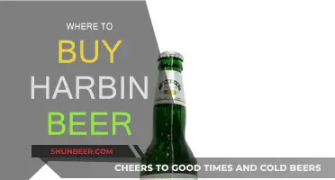 Harbin Beer: Where to Buy the Best Brew