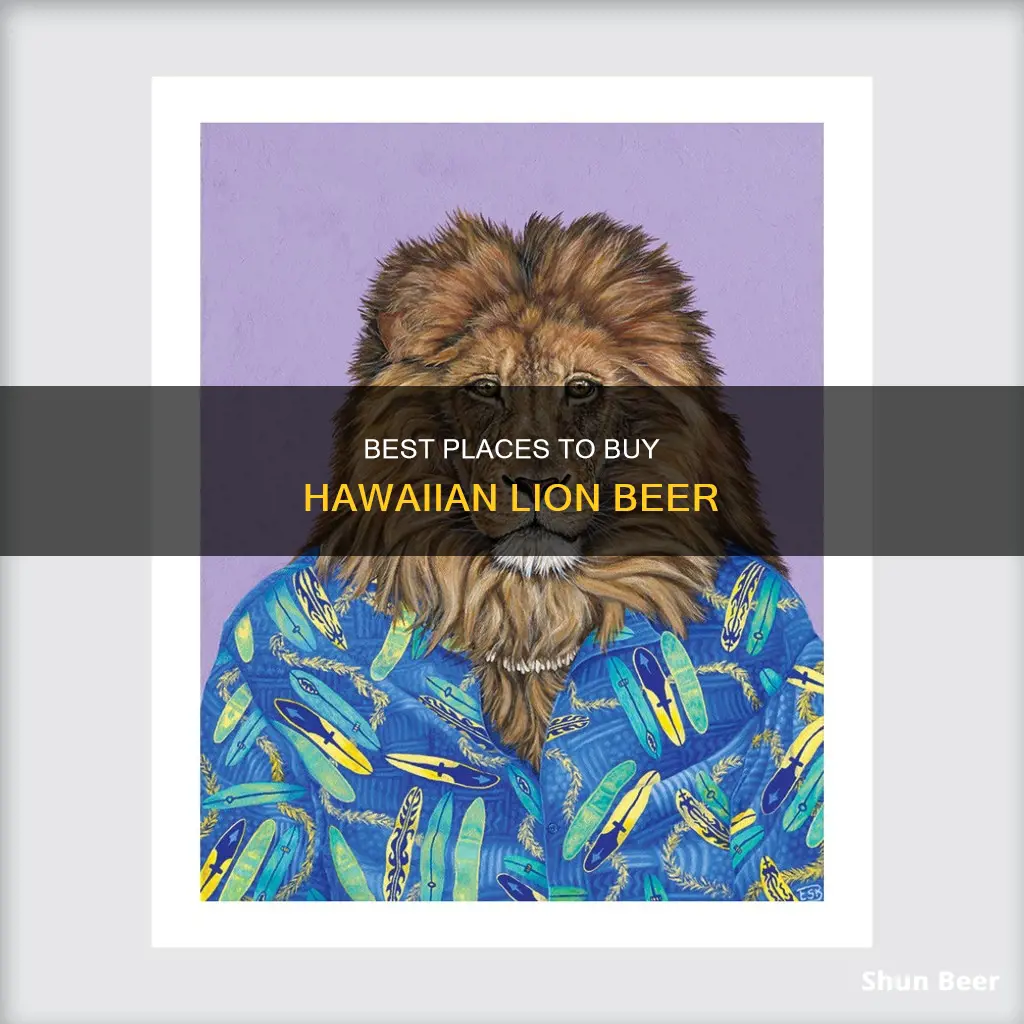 where to buy hawaiian lion beer