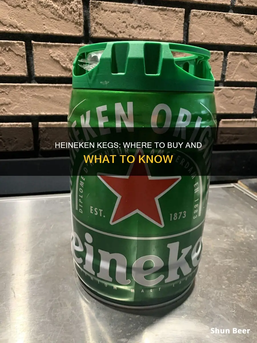 where to buy heineken beer keg