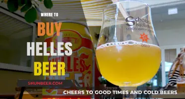 Helles Beer: Top Sources for Your Perfect Pour