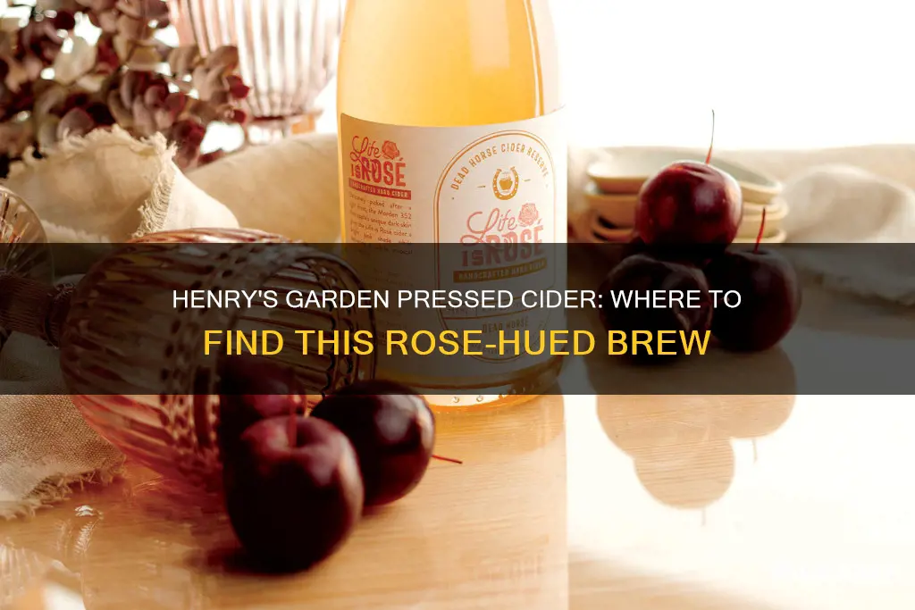 where to buy henrys gard pressed cidar beer rose