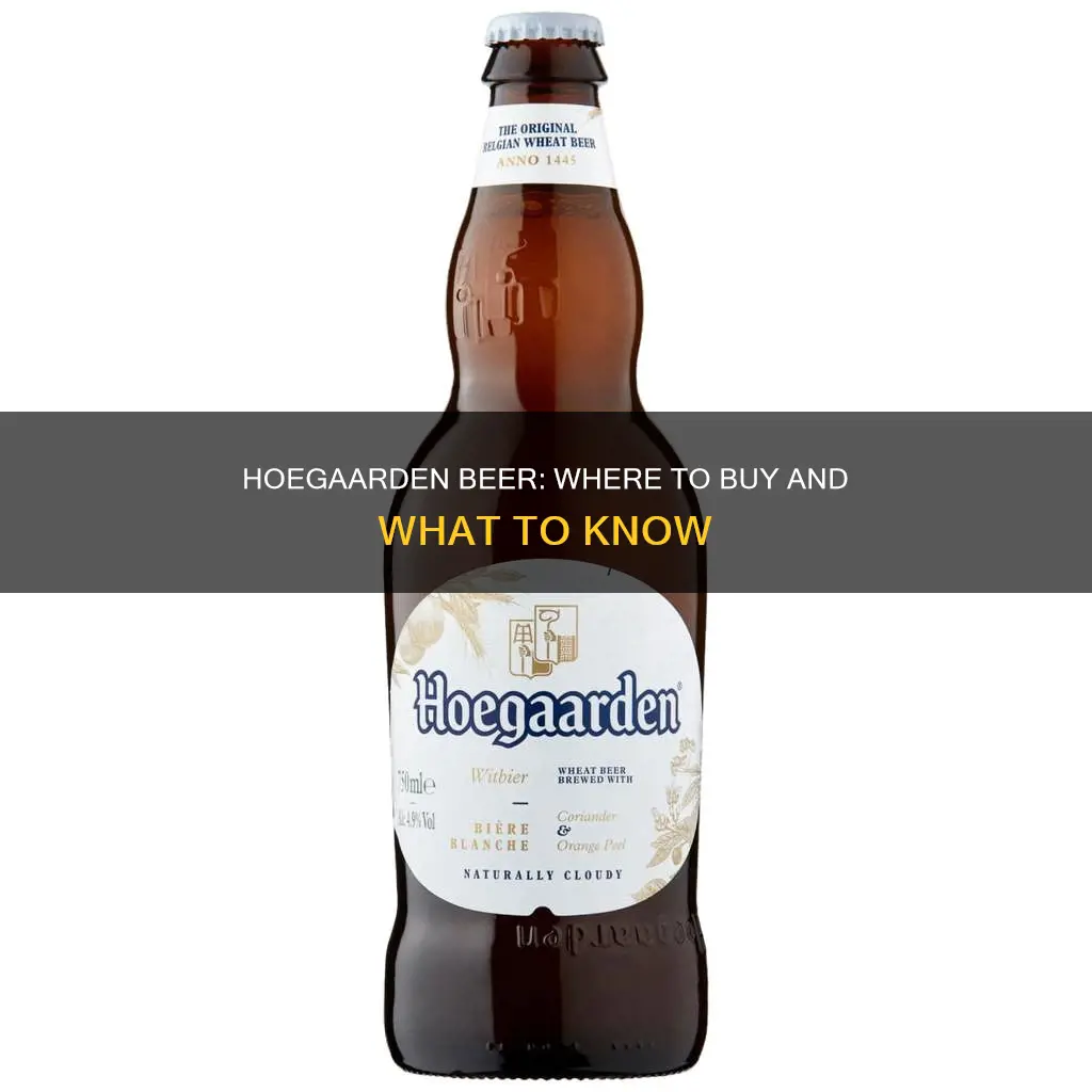 where to buy hoegaarden beer