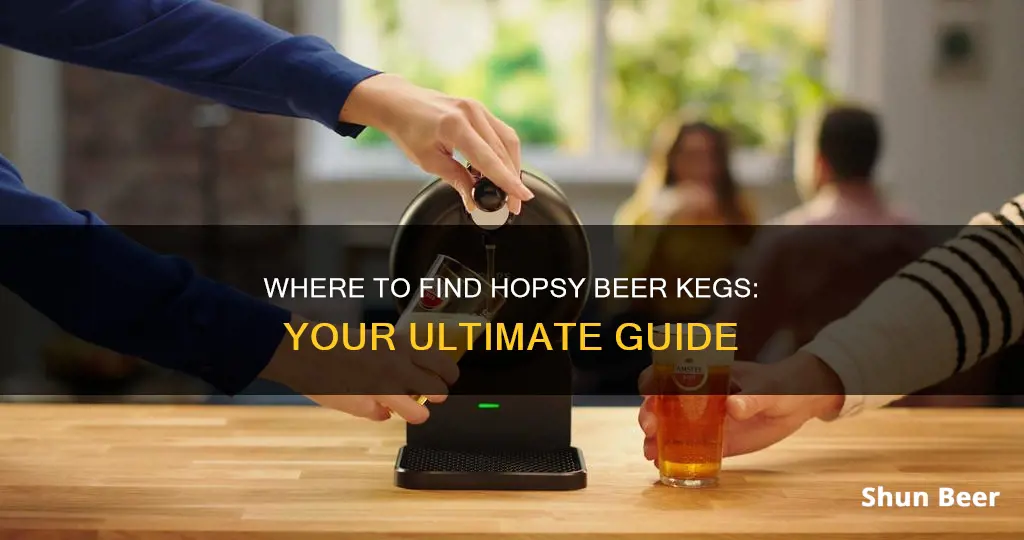 where to buy hopsy beer kegs