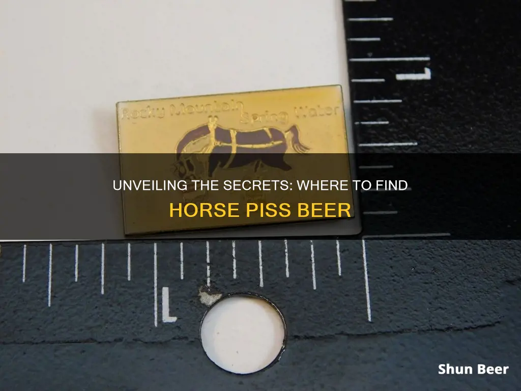 where to buy horse piss beer