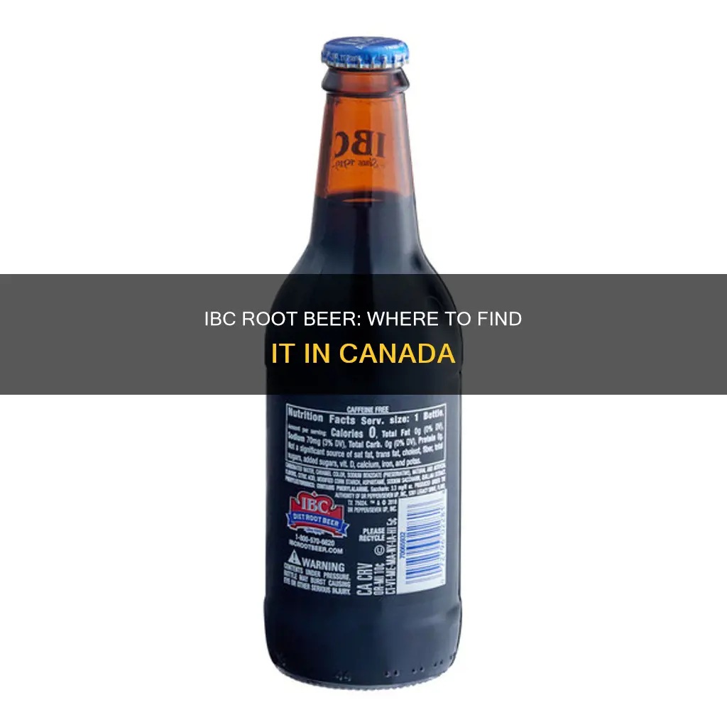 where to buy ibc root beer in canada