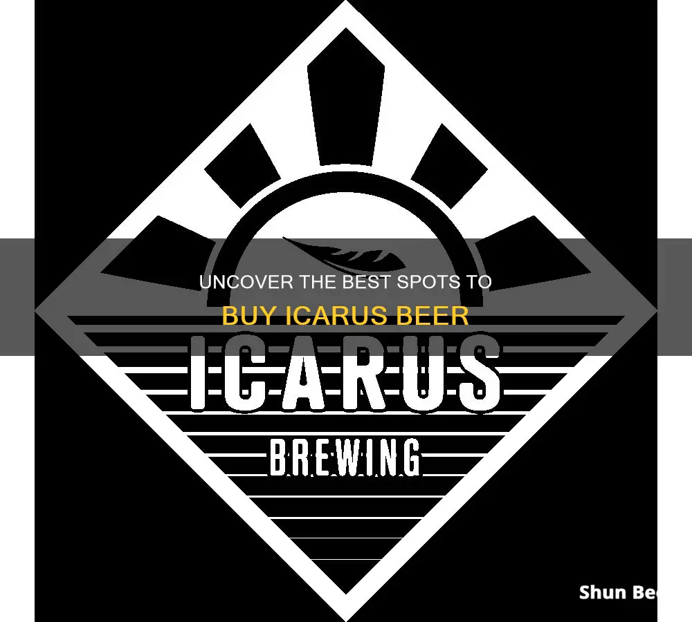 where to buy icarus beer