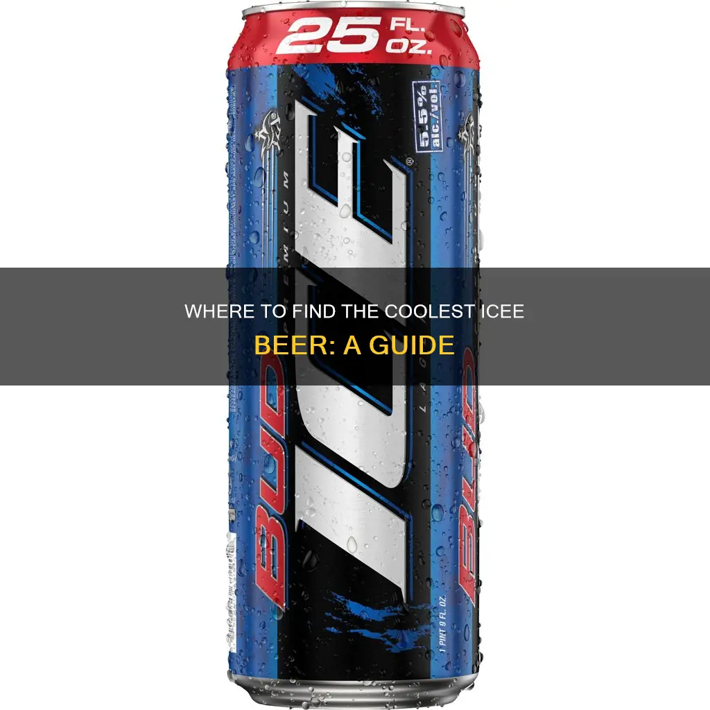 where to buy icee beer