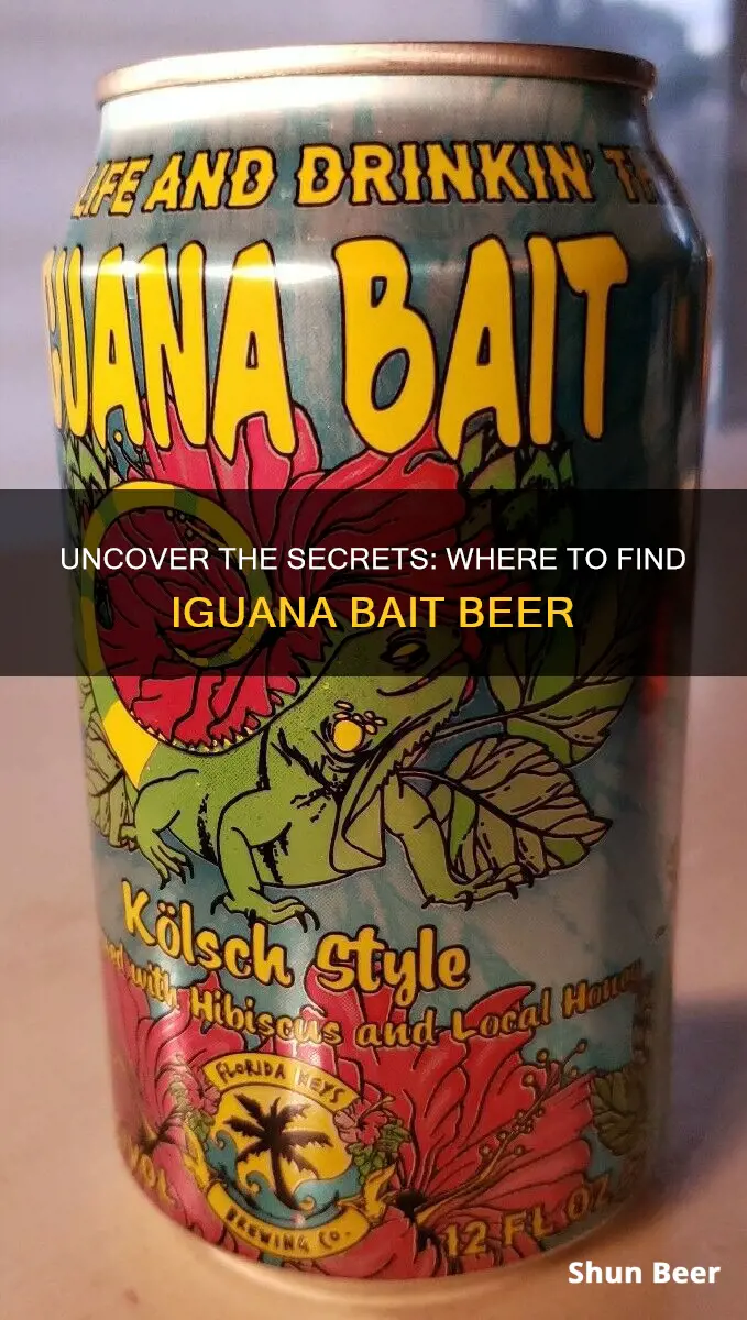 where to buy iguana bait beer