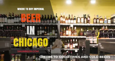 Chicago's Best Spots for Imperial Beer Enthusiasts