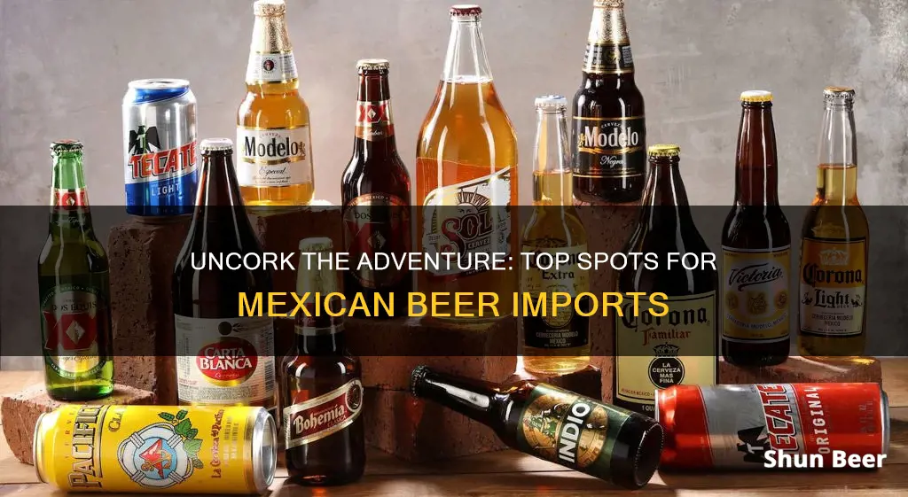 where to buy imported mexican beer