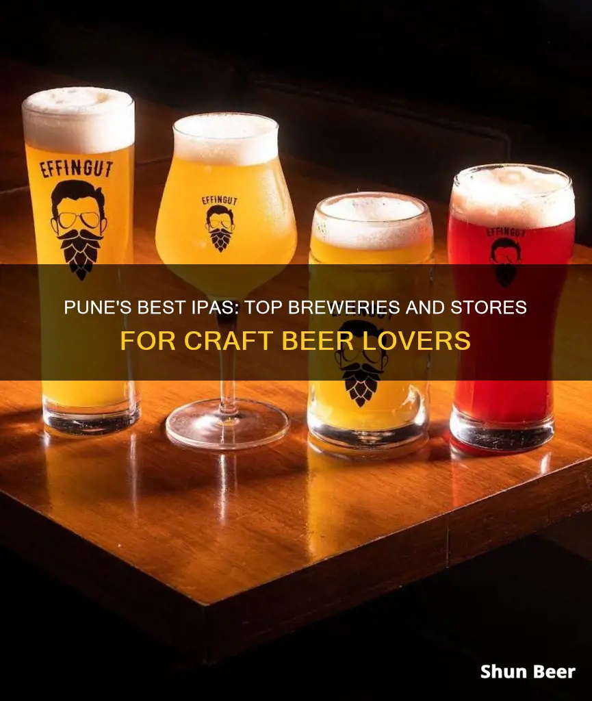 where to buy ipa beer in pune india