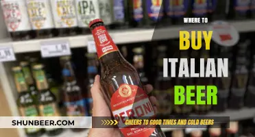 Uncover the Best Spots for Italian Craft Beer