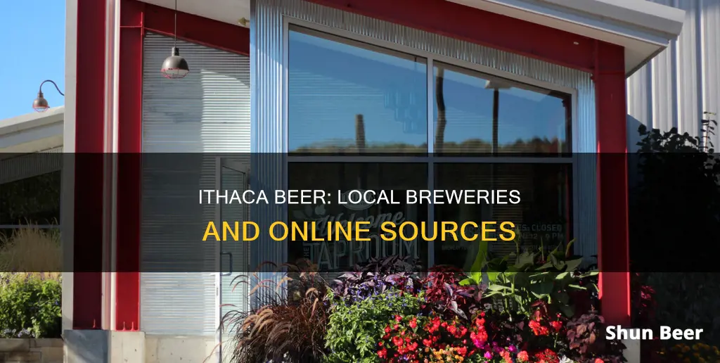 where to buy ithaca beer