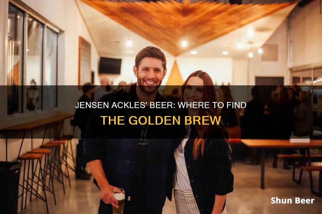 where to buy jensen ackles beer