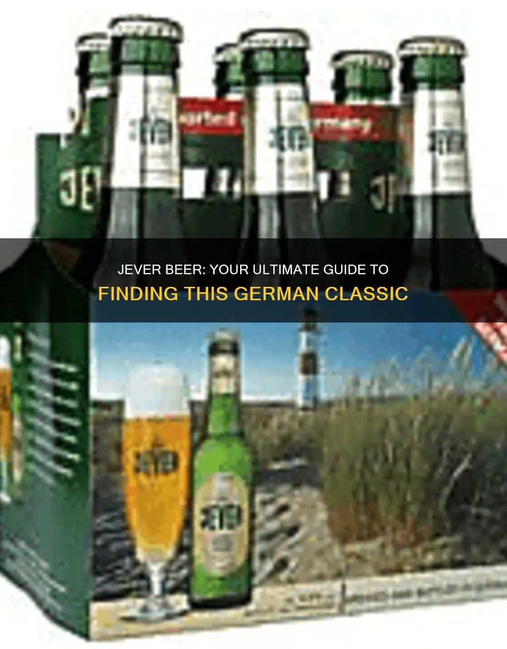 where to buy jever beer