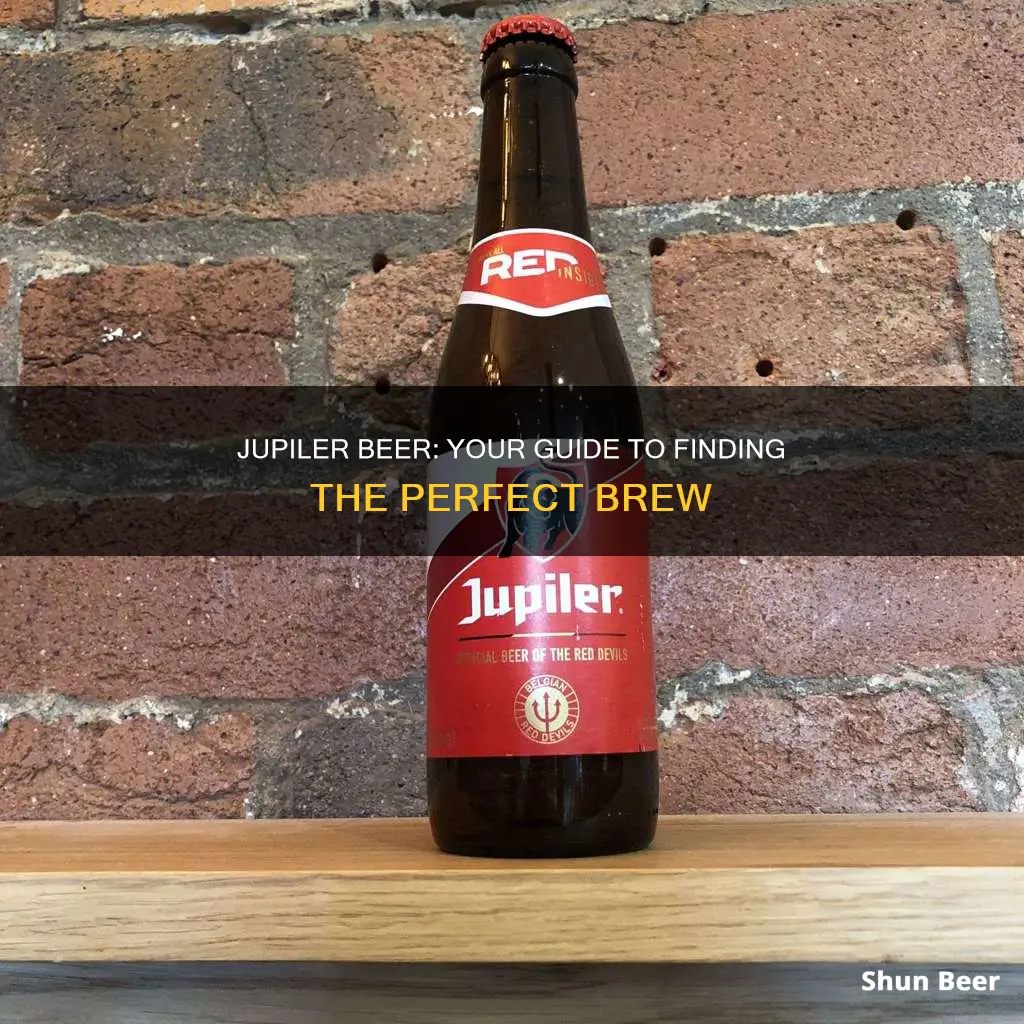 where to buy jupiler beer