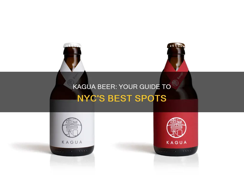 where to buy kagua beer in nyc