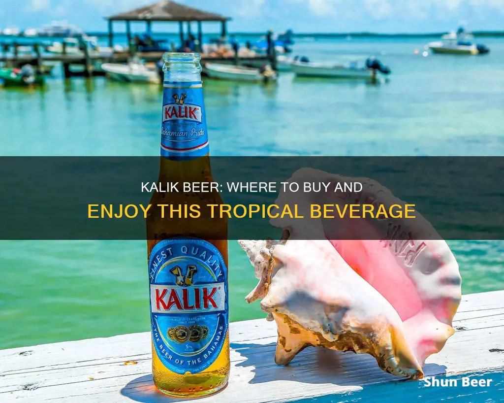 where to buy kalik beer