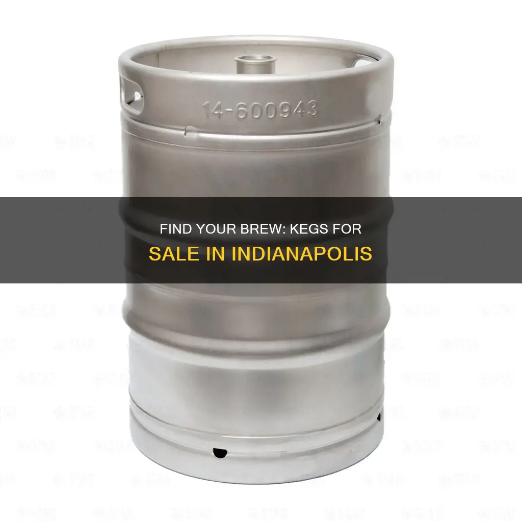 where to buy kegs of beer in indianapolis