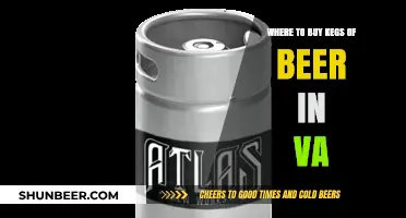 VA Beer Enthusiasts: Top Keg Sources Revealed