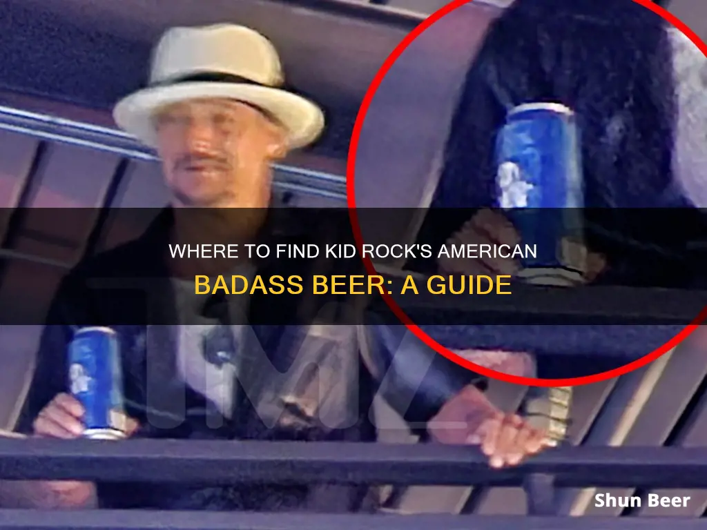 where to buy kid rock american badass beer