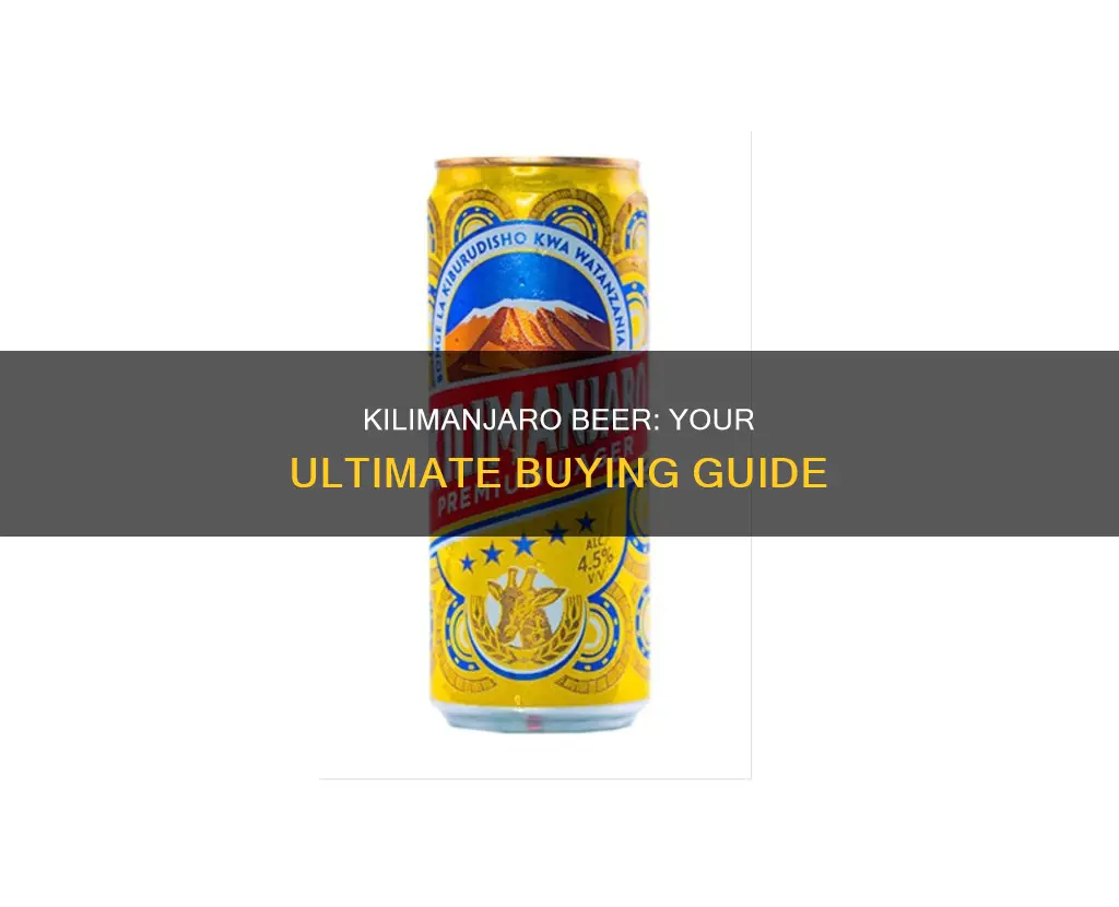 where to buy kilimanjaro beer