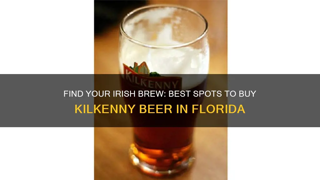 where to buy kilkenny beer in florida